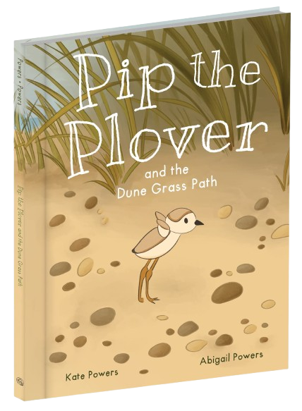 The Pip the Plover picture book